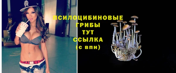 эйфоретик Белокуриха