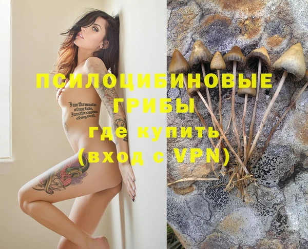 a pvp Беломорск